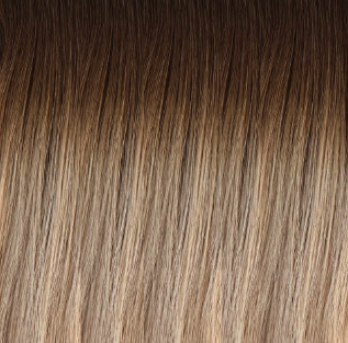 Richy tape extensions 06/61 Dark Root