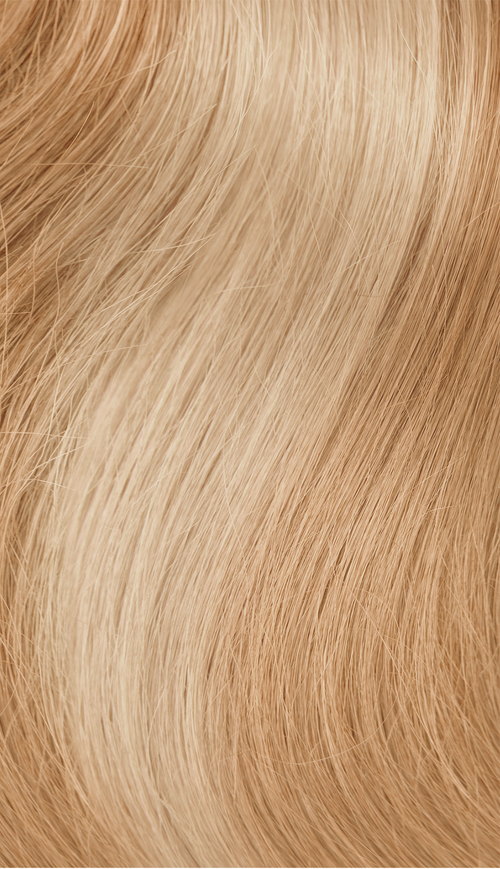 Richy tape extensions 11/15 Honey Highlights